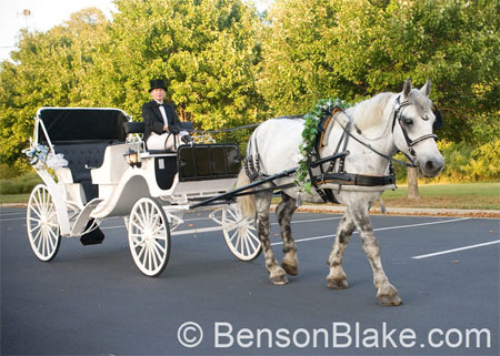 Horse & Carriage