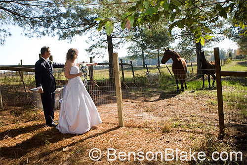 Anna & Marty on the farm